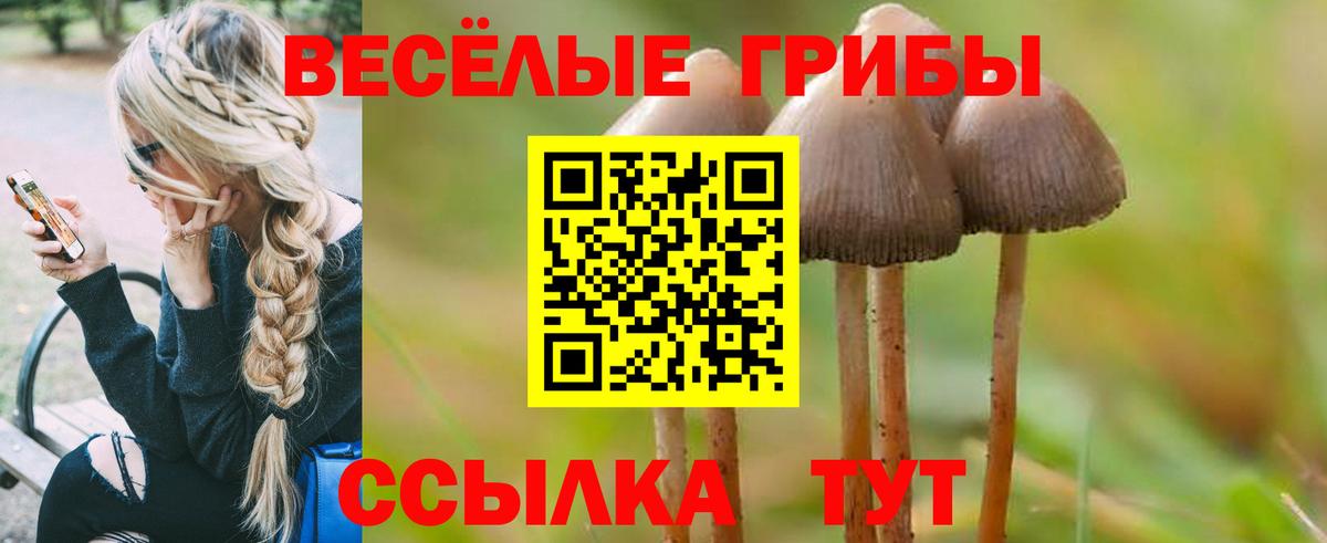 Галлюциногенные грибы ЛСД Зеленогорск